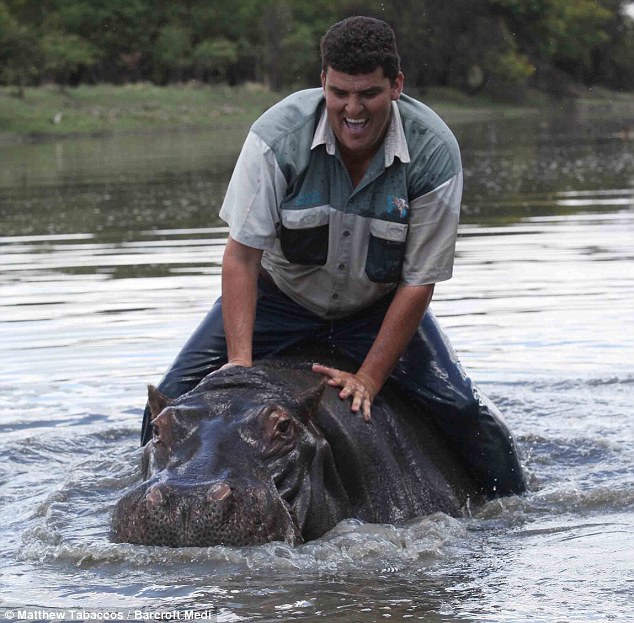 Hitching a ride: Mr Els claimed to have a unique bond with seven-year-old Humphrey, who lived on his farm near Klerksdorp, but he did admit that friends did not go near the animal 